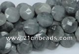 CEE57 15.5 inches 10mm faceted coin eagle eye jasper beads