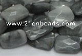 CEE60 15.5 inches 10*14mm faceted rectangle eagle eye jasper beads