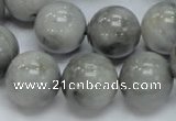 CEE61 15.5 inches 14mm round eagle eye jasper beads wholesale