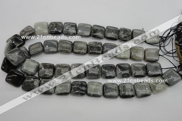 CEE78 15.5 inches 18*18mm square eagle eye jasper beads