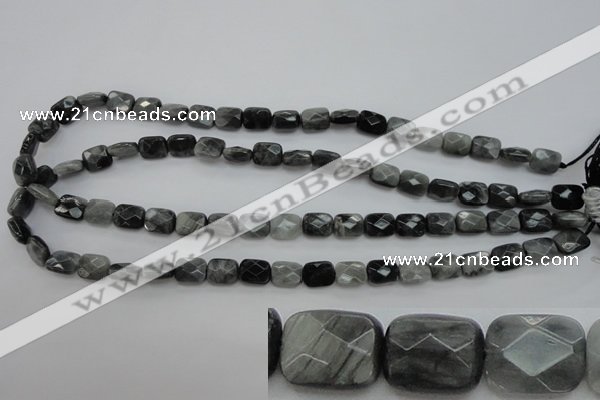 CEE80 15.5 inches 8*10mm faceted rectangle eagle eye jasper beads