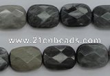 CEE81 15.5 inches 12*16mm faceted rectangle eagle eye jasper beads