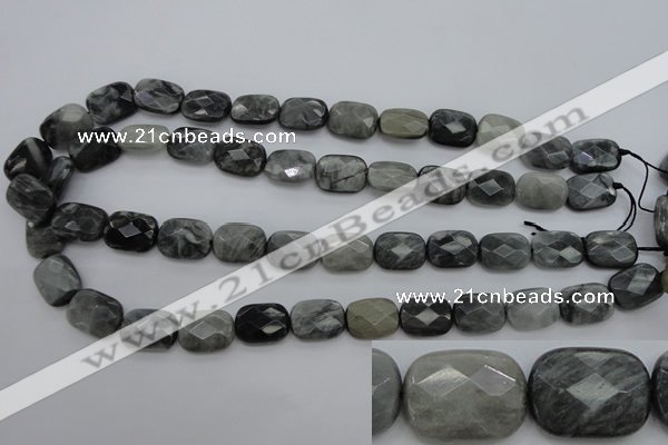 CEE81 15.5 inches 12*16mm faceted rectangle eagle eye jasper beads