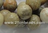 CFA04 15.5 inches 16mm round chrysanthemum agate gemstone beads