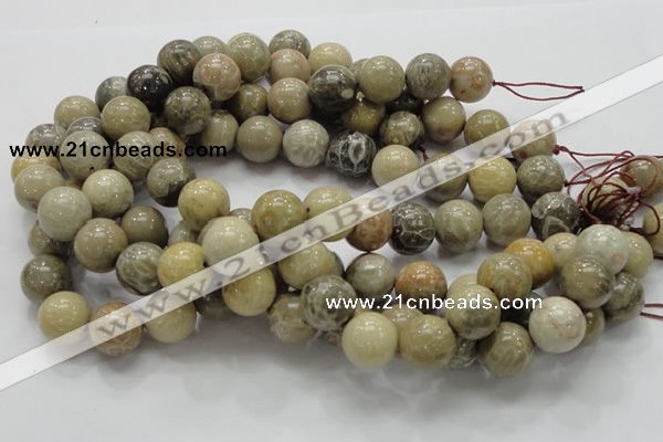 CFA04 15.5 inches 16mm round chrysanthemum agate gemstone beads