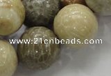 CFA05 15.5 inches 20mm round chrysanthemum agate gemstone beads