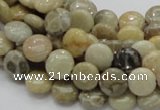 CFA06 15.5 inches 10mm flat round chrysanthemum agate gemstone beads