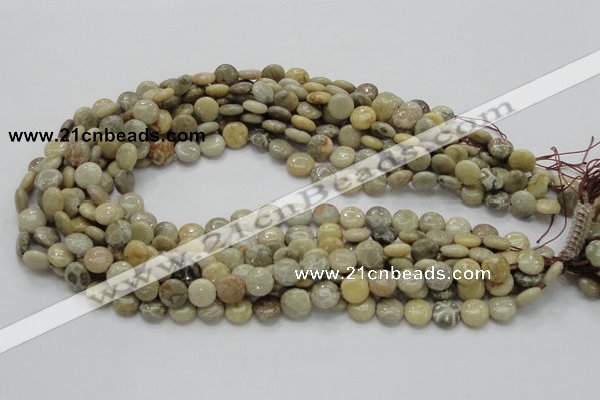CFA06 15.5 inches 10mm flat round chrysanthemum agate gemstone beads