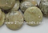 CFA08 15.5 inches 20mm flat round chrysanthemum agate gemstone beads