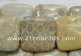 CFA18 15.5 inches 25*25mm square chrysanthemum agate beads