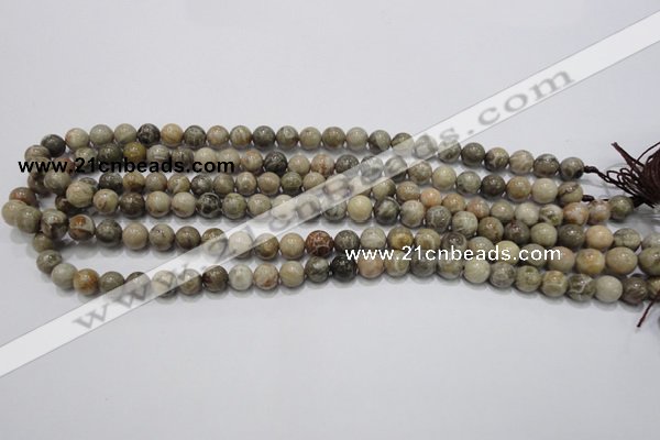 CFA26 15.5 inches 8mm round chrysanthemum agate gemstone beads