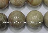 CFA27 15.5 inches 18mm round chrysanthemum agate gemstone beads