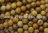 CFA31 15.5 inches 6mm round yellow chrysanthemum agate beads