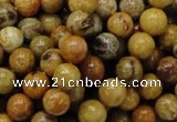 CFA32 15.5 inches 8mm round yellow chrysanthemum agate beads