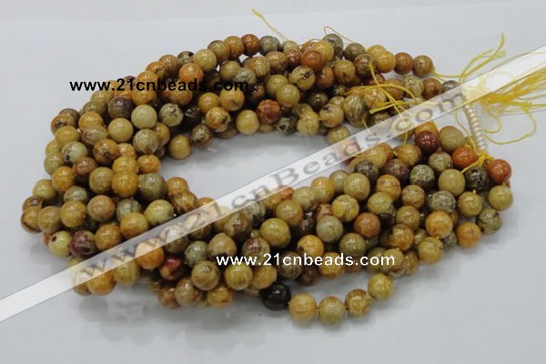 CFA33 15.5 inches 10mm round yellow chrysanthemum agate beads