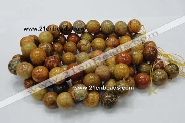 CFA34 15.5 inches 20mm round yellow chrysanthemum agate beads