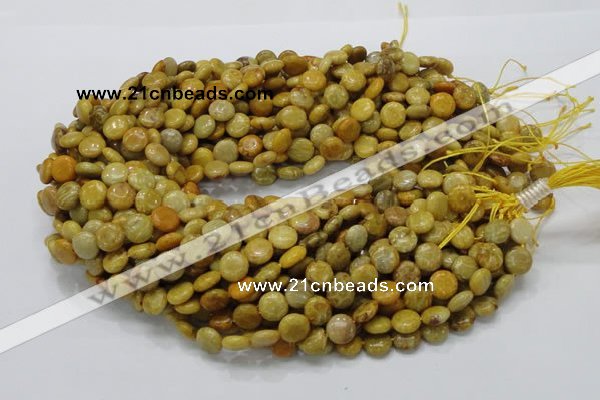 CFA40 15.5 inches 10mm flat round yellow chrysanthemum agate beads