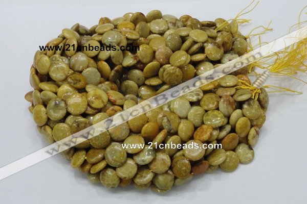 CFA42 15.5 inches 15mm flat round yellow chrysanthemum agate beads