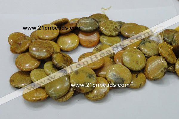 CFA45 15.5 inches 30mm flat round yellow chrysanthemum agate beads