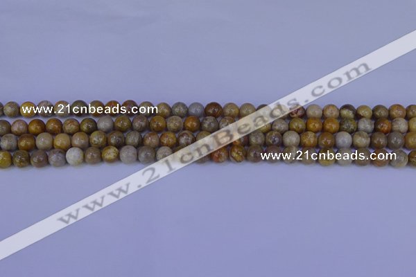 CFC200 15.5 inches 4mm round fossil coral beads wholesale