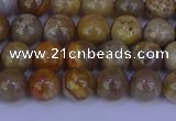 CFC201 15.5 inches 6mm round fossil coral beads wholesale