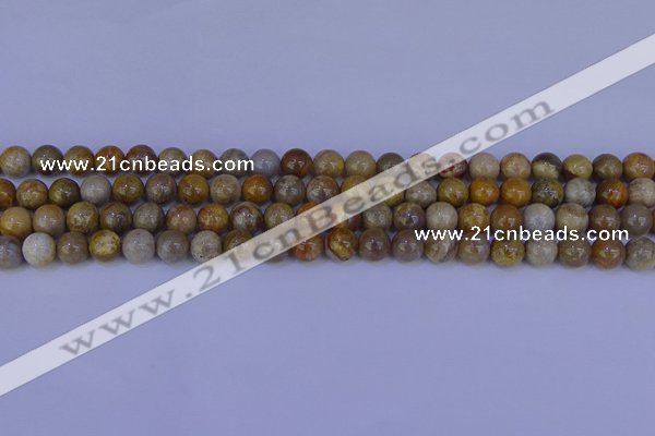 CFC201 15.5 inches 6mm round fossil coral beads wholesale