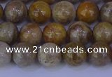 CFC202 15.5 inches 8mm round fossil coral beads wholesale