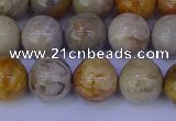 CFC203 15.5 inches 10mm round fossil coral beads wholesale