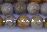 CFC204 15.5 inches 12mm round fossil coral beads wholesale