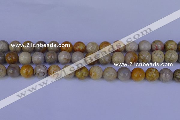 CFC204 15.5 inches 12mm round fossil coral beads wholesale