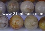 CFC205 15.5 inches 14mm round fossil coral beads wholesale