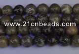 CFC210 15.5 inches 4mm round grey fossil coral beads wholesale