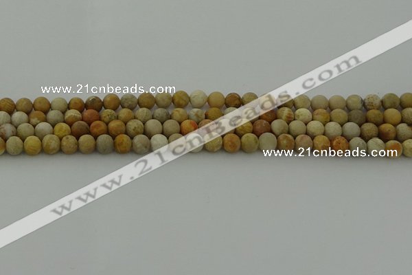 CFC221 15.5 inches 6mm round matte fossil coral beads wholesale