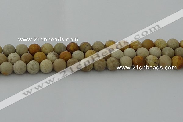 CFC223 15.5 inches 10mm round matte fossil coral beads wholesale