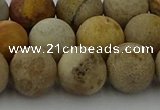 CFC224 15.5 inches 12mm round matte fossil coral beads wholesale