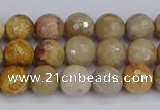 CFC229 15.5 inches 6mm faceted round fossil coral beads