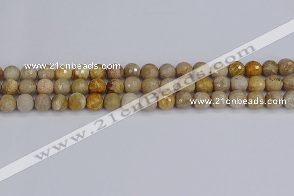 CFC230 15.5 inches 8mm faceted round fossil coral beads