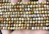 CFC320 15.5 inches 4mm round fossil coral beads wholesale