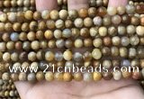 CFC321 15.5 inches 6mm round fossil coral beads wholesale