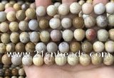 CFC323 15.5 inches 10mm round fossil coral beads wholesale