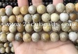 CFC324 15.5 inches 12mm round fossil coral beads wholesale