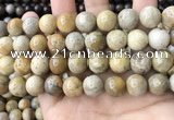 CFC325 15.5 inches 14mm round fossil coral beads wholesale