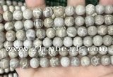 CFC330 15.5 inches 8mm round fossil coral beads wholesale