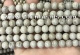 CFC331 15.5 inches 8mm round fossil coral beads wholesale