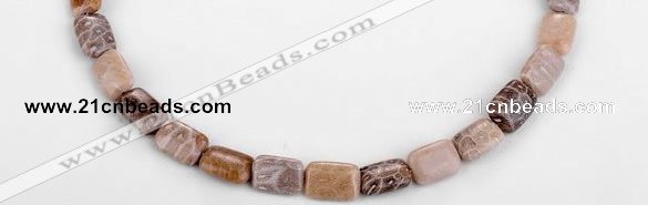 CFC50 10*14mm rectangle coral fossil jasper beads wholesale