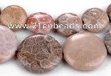 CFC53 15.5 inches flat round coral fossil jasper beads wholesale