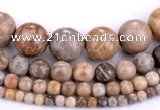 CFC55 15.5 inches round coral fossil jasper beads wholesale