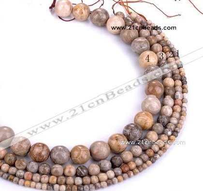 CFC55 15.5 inches round coral fossil jasper beads wholesale