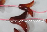 CFG504 15.5 inches 20*26mm carved flower red agate beads