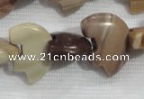 CFG796 12.5 inches 14*18mm carved animal jasper beads